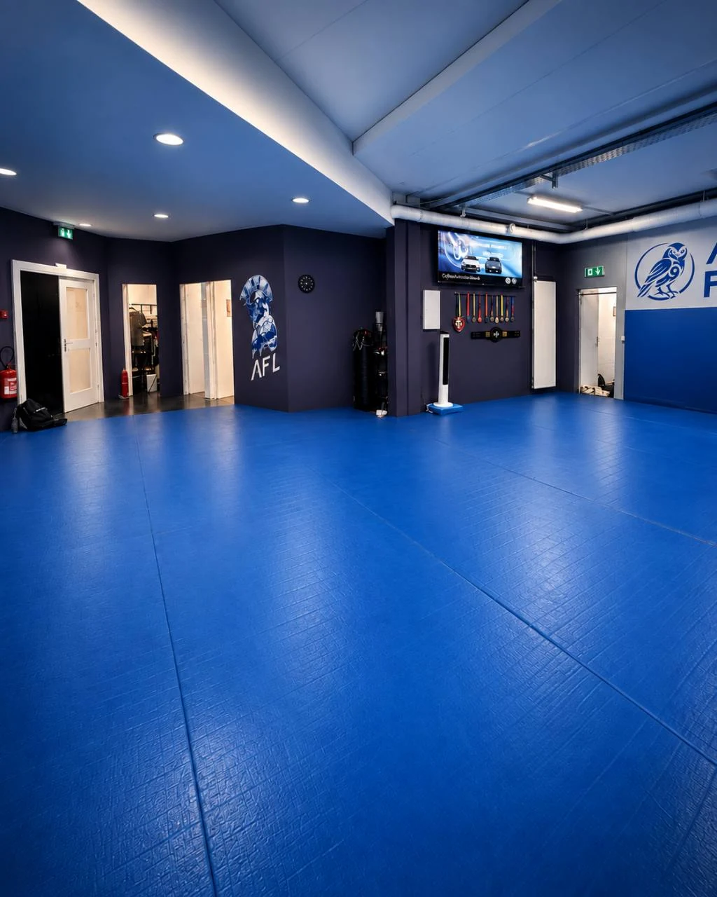 La salle Analytical Fight Lab et ses tapis bleus à Martigny